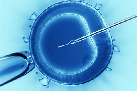 http://qingdao.vdtfzz.com/post/198.html|青岛代生助孕