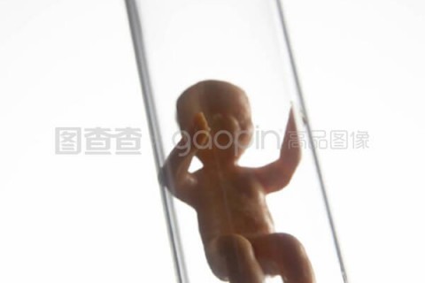 http://qingdao.vdtfzz.com/post/197.html|青岛试管助孕
