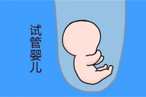 http://qingdao.vdtfzz.com/post/194.html|青岛新闻中心