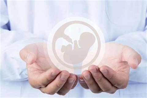 http://qingdao.vdtfzz.com/post/214.html|青岛人工试管